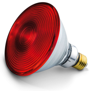 LAMPE AMPOULE INFRAROUGE PHILIPS PAR38 150W E27
